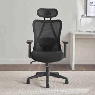 high-back orthopedic mesh chair, ergonomic orthopedic office chair, orthopedic mesh chair with lumbar support, high back ergonomic mesh chair, orthopedic desk chair mesh back, breathable mesh orthopedic chair, spine support office chair, mesh chair with headrest and lumbar support, orthopedic high back desk chair, office chair for back pain relief, orthopedic computer chair with mesh, posture-correcting mesh chair, high-back ergonomic office mesh chair, orthopedic task chair with mesh, mesh back chair for long sitting, orthopedic swivel chair high back, orthopedic office chair with breathable mesh, adjustable high-back mesh office chair, orthopedic executive mesh chair, orthopedic chair with headrest mesh back, high-back mesh chair with back support, mesh chair with orthopedic design, lumbar mesh support office chair, orthopedic chair for workstation, mesh back pain relief office chair, mesh ergonomic chair for spine alignment, orthopedic chair with tilt and mesh, mesh orthopedic seat chair, orthopedic mesh chair with adjustable arms, high-back computer mesh chair for posture, orthopedic mesh chair with recline, orthopedic office chair with mesh seat, adjustable mesh ergonomic chair for back pain, high-back mesh chair with orthopedic support, doctor recommended mesh office chair, orthopedic high back mesh executive chair, high-back mesh chair for lower back support, mesh office chair for scoliosis, high-back orthopedic study chair, back support mesh chair for students, orthopedic swivel mesh desk chair, mesh chair for orthopedic needs, professional orthopedic mesh chair, high resilience mesh back chair, ergonomic mesh chair for back therapy, mesh chair with adjustable lumbar for orthopedic use, high-back orthopedic mesh task chair, adjustable orthopedic desk chair mesh, breathable high-back orthopedic chair, high-back posture chair with mesh, orthopedic reclining mesh office chair, ergonomic chair with high mesh back, mesh high-back orthopedic executive seating, orthopedic workstation mesh chair, full back support mesh ergonomic chair, spine-aligning office mesh chair, orthopedic mesh desk seating, breathable mesh office chair orthopedic design, high-back mesh back orthopedic task chair, orthopedic seating solution mesh chair, ventilated orthopedic desk chair, pain relief mesh chair with high back, orthopedic design mesh task chair, office mesh chair for chronic back pain, high-back mesh ergonomic chair for health, orthopedic therapy mesh desk chair, adjustable height mesh orthopedic chair, mesh seat orthopedic computer chair, mesh chair for spine comfort, orthopedic friendly desk chair, ergonomic orthopedic mesh swivel chair, mesh backrest with orthopedic contouring, lumbar mesh chair orthopedic design, orthopedic reclining chair with mesh headrest, chair for orthopedic comfort mesh design, orthopedic workplace chair with mesh, high-back mesh chair with therapeutic backrest, full support orthopedic mesh desk chair, mesh chair with orthopedic adjustments, orthopedic mesh seating with arm support, breathable mesh orthopedic support chair, ergonomic back pain mesh chair, advanced orthopedic mesh chair design, orthopedic executive office mesh seating, orthopedic mesh chair for productivity, orthopedic design mesh chair for home office, back care mesh ergonomic office chair, orthopedically designed mesh swivel chair, mesh chair for optimal spine posture, orthopedic executive seating mesh design, orthopedic high-back mesh chair with tilt, 360-degree swivel orthopedic mesh chair, ergonomic mesh chair with orthopedic seat pad, orthopedic mesh chair for work from home, mesh high back chair for posture correction, ergonomic mesh computer chair orthopedic grade, orthopedic posture mesh chair, orthopedic mesh chair for long hours, mesh chair for desk with orthopedic function, adjustable ergonomic mesh back chair, orthopedic chair with mesh for computer work, breathable mesh backrest orthopedic chair, orthopedic gaming chair mesh style, orthopedic office chair with reclining mesh, orthopedic office seating mesh build, mesh desk chair with orthopedic lumbar, high-back mesh office chair with spine support, orthopedic office chair for executives, professional office mesh chair orthopedic, ergonomic task chair orthopedic mesh, comfort mesh high-back chair for back pain, mesh chair with orthopedic structure, therapeutic office chair mesh back, orthopedic backrest mesh computer chair, high-back orthopedic swivel mesh chair, mesh ergonomic chair for working professionals, orthopedic office chair with tilt tension, orthopedic ergonomic mesh chair for daily use, high-back desk chair with orthopedic mesh, mesh office chair with orthopedic certification, fully adjustable mesh orthopedic chair, lumbar support mesh chair for back issues, orthopedic mesh seat chair for workplace, orthopedic mesh desk chair with footrest, orthopedic mesh chair with multi-position tilt, orthopedic ergonomic desk chair mesh, high back mesh ergonomic orthopedic chair, executive orthopedic desk mesh chair, adjustable mesh chair for orthopedic comfort, orthopedic mesh office chair with padded seat, high-back mesh orthopedic study chair, breathable back mesh chair for back pain, adjustable mesh chair for orthopedic seating, full spine support mesh desk chair, ergonomic orthopedic mesh chair with wheels, orthopedic mesh chair for programmers, orthopedic computer chair mesh ergonomic, office mesh orthopedic seat for support, orthopedic swivel mesh chair with headrest, mesh high-back desk chair orthopedic model, best orthopedic chair with mesh material, orthopedic reclining chair with mesh fabric, ergonomic mesh back chair with lumbar pillow, orthopedic style mesh desk chair with support, supportive mesh orthopedic executive chair, mesh ergonomic office chair for therapy, orthopedic seating mesh for lower spine, high-back mesh chair with built-in lumbar, orthopedic friendly mesh office chair, mesh chair with ergonomic orthopedic frame, orthopedic desk chair for productivity, best ergonomic mesh chair for spine alignment, orthopedic design mesh chair with headrest, orthopedic mesh chair for upper back support, therapeutic high back chair mesh, orthopedic mesh chair for tall users, mesh ergonomic desk chair for posture therapy, breathable orthopedic backrest chair mesh, orthopedic office chair with firm lumbar mesh, workplace mesh seating with orthopedic features, mesh orthopedic comfort task chair, supportive mesh ergonomic office chair, mesh seat and back orthopedic chair, mesh orthopedic chair with soft armrests, adjustable lumbar mesh orthopedic desk chair, high mesh back office chair for back pain, orthopedic mesh office seating solutions, full ergonomic orthopedic mesh chair, orthopedic chair with mesh headrest and armrests, durable orthopedic mesh chair for professionals, mesh chair with orthopedic grade support, reclining mesh back orthopedic office chair, therapeutic ergonomic chair mesh structure, orthopedic seating with breathable mesh, high-back mesh executive chair orthopedic, mesh back orthopedic office chair for health, orthopedic computer mesh chair with support, spine-friendly mesh back office chair, orthopedic support chair with mesh fabric, breathable orthopedic seating mesh office chair.