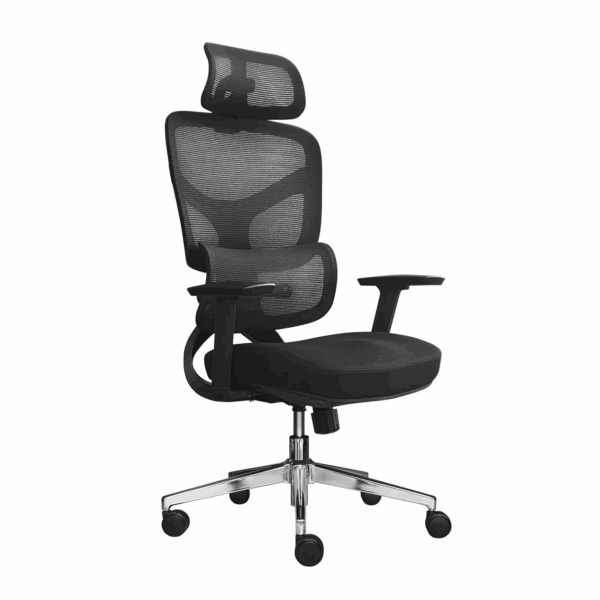 High Back Orthopedic Mesh Chair, Orthopedic Mesh Office Chair, Ergonomic High Back Mesh Chair, Lumbar Support Mesh Office Chair, High Back Support Office Chair, Orthopedic High Back Desk Chair, Breathable Mesh Orthopedic Chair, Spine Support Mesh Chair, Office Chair for Back Pain Relief, Mesh Executive Orthopedic Chair, Adjustable Orthopedic Mesh Chair, Orthopedic Chair with Lumbar Support, Mesh Chair for Long Hours, Orthopedic Ergonomic Office Chair, High Back Mesh Chair for Back Pain, Doctor Recommended Mesh Chair, Mesh Chair with Adjustable Lumbar, High Back Posture Support Chair, Orthopedic Swivel Mesh Chair, Mesh Chair with Neck Support, High Back Mesh Task Chair, Orthopedic Mesh Chair with Headrest, High Back Chair for Spine Alignment, Office Chair with Orthopedic Mesh Back, Orthopedic Mesh Seat Chair, Mesh Office Chair with Ergonomic Design, Pain Relief Office Mesh Chair, Mesh Back Chair with Posture Support, Mesh Chair for Lower Back Pain, Orthopedic Chair for Office Desk, Ergonomic High Back Office Mesh Chair, High Back Mesh Chair with Armrests, Mesh Chair for Work From Home, Orthopedic Chair for Sitting Long Hours, Orthopedic Office Chair Adjustable, High Back Mesh Chair for Ergonomic Comfort, Mesh Chair for Spine Health, Mesh Chair with Adjustable Armrests, Orthopedic Mesh Executive Chair, Back Support Office Mesh Chair, Mesh Chair for Orthopedic Comfort, Ergonomic Mesh Chair for Posture Correction, Mesh Office Chair for Professionals, High Back Mesh Chair with Seat Cushion, Orthopedic Rolling Mesh Chair, Mesh Office Chair with Headrest, Ergonomic Mesh Desk Chair with Lumbar, Spine Care Mesh Office Chair, Orthopedic Mesh Chair for Study, Mesh Chair for Computer Work, Adjustable Orthopedic Task Chair, Mesh Chair with Ergonomic Headrest, High Back Mesh Chair for Home Office, Mesh Backrest Orthopedic Office Chair, Comfortable Orthopedic Mesh Chair, Premium Orthopedic Mesh Office Chair, Mesh Chair with Medical Back Support, Orthopedic Mesh Chair for Students, Breathable High Back Office Chair, Mesh Chair with Tilt and Lock, Lumbar Mesh Office Chair, Orthopedic Mesh Chair with Wheels, Mesh Chair for Healthy Posture, Orthopedic Computer Mesh Chair, High Back Mesh Chair with Padded Seat, Mesh Chair for Office Comfort, Office Chair with Orthopedic Mesh Seat, Mesh Chair for Neck and Back Support, Medical Grade Orthopedic Mesh Chair, Mesh Chair for Executive Office, Orthopedic Ergonomic Mesh Task Chair, Mesh Chair with Back Support Features, Office Mesh Chair with Head and Lumbar Support, Adjustable Mesh Orthopedic Work Chair, Ergonomic Mesh Chair with Adjustable Height, Orthopedic Mesh Chair with Recline Function, Mesh Chair with Spine Alignment Support, High Back Orthopedic Office Chair with Mesh, Ergonomic High Back Mesh Chair for Office, Mesh Chair for Pain-Free Sitting, Orthopedic Mesh Desk Chair with Wheels, Mesh Chair with Adjustable Seat Depth, Mesh Chair for Upper and Lower Back Pain, High Back Mesh Chair for All-Day Use, Mesh Chair for Back Health, Orthopedic Mesh Chair with Synchro Tilt, Mesh Office Chair with Breathable Design, Posture Friendly Mesh Office Chair, Mesh Chair with Cushioned Orthopedic Seat, High Back Work Chair with Orthopedic Support, Ergonomic Mesh Chair for Daily Use, Mesh Office Chair for Spinal Health, High Back Mesh Chair for Wellness Seating, Mesh Chair with Orthopedic Structure, Office Chair for Back and Neck Relief, Mesh Chair Designed for Orthopedic Support, Long Hour Sitting Mesh Orthopedic Chair, Advanced Ergonomic Mesh Chair, Mesh Chair for Medical Office Use