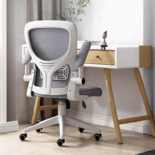 mid back ergonomic office chair, ergonomic mid back chair, office chair mid back support, ergonomic desk chair mid back, mid back office chair with lumbar support, comfortable mid back office chair, adjustable mid back chair, mesh mid back office chair, mid back computer chair, ergonomic task chair mid back, office chair with mid backrest, mid back swivel office chair, mid back office seating, office chair for posture support, ergonomic office chair mid height, mid back office chair with arms, breathable mid back office chair, supportive mid back office chair, ergonomic mid back mesh chair, modern mid back office chair, mid back executive chair, ergonomic chair for office desk, lumbar support mid back chair, mid back rolling chair, ergonomic desk seating mid back, padded mid back office chair, mid back task chair with wheels, ergonomic chair for back support, mid back workstation chair, mid back chair with tilt function, mid back chair for long hours, compact ergonomic office chair, mid back chair for small office, ergonomic chair with adjustable armrests, mid back mesh desk chair, task chair ergonomic mid back, mid back office chair with wheels, office chair with breathable back, affordable mid back ergonomic chair, ergonomic mid back manager chair, mid back chair for employees, mid back mesh chair for office, office chair with posture alignment, ergonomic office chair mid back mesh, professional mid back office chair, posture correcting office chair, mid back desk chair with lumbar, mid back chair with seat cushion, ergonomic chair with fixed arms, mid back adjustable height chair, mid back chair with back support, best ergonomic mid back office chair, compact office chair mid back, mesh mid back chair with tilt, mid back chair with ergonomic features, ergonomic office chair for typing, lightweight ergonomic office chair, mid back comfort chair for work, ergonomic mesh task chair mid back, mid back office chair adjustable features, office chair mid back breathable mesh, ergonomic mid back work chair, mid back height office chair, conference room mid back chair, ergonomic home office chair mid back, adjustable mesh office chair mid back, ergonomic chair for daily use, modern office chair with mid back, mid back ergonomic seating solution, office chair with back support mid back, mesh office chair for posture, back-friendly mid back office chair, ergonomic mid back seating, stylish mid back desk chair, mid back office chair with cushion, ergonomic office chair with mid back design, office chair for proper posture, chair with ergonomic back design, mid back chair with lumbar and tilt, mid back executive office chair, compact ergonomic desk chair, ergonomic office chair for medium back support, mid back office chair with tilt lock, breathable mesh ergonomic office chair, ergonomic chair with comfortable backrest, mid back chair for office meetings, all-day support ergonomic chair, mid back ergonomic seating for professionals, mid back work chair with arms, productivity chair ergonomic mid back, adjustable office chair for desk work, ergonomic mesh chair with mid back height, ergonomic comfort chair mid back, mid back desk seating solution, mid back chair for remote work, office chair with ergonomic mid backrest, healthy posture office chair mid back, ergonomic desk solution mid back chair, posture-friendly office chair mid back, ergonomic chair for daily desk work.