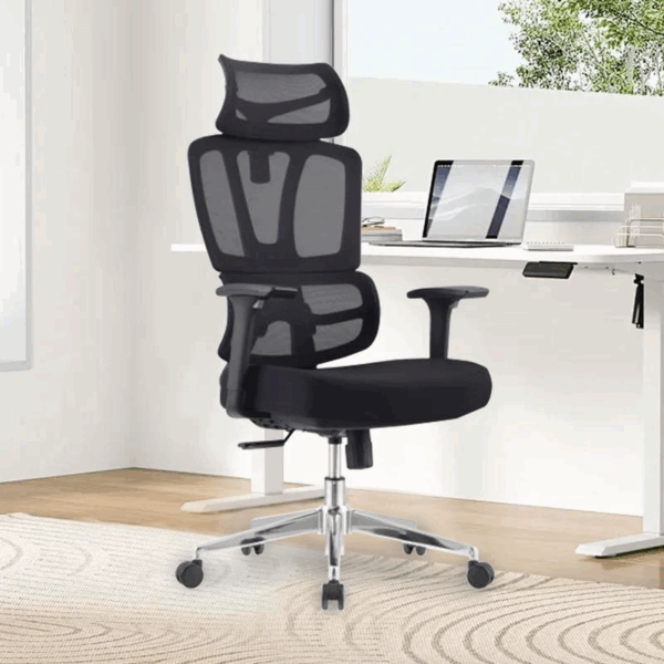 High Back Orthopedic Mesh Chair, Orthopedic Mesh Office Chair, Ergonomic High Back Mesh Chair, Lumbar Support Mesh Office Chair, High Back Support Office Chair, Orthopedic High Back Desk Chair, Breathable Mesh Orthopedic Chair, Spine Support Mesh Chair, Office Chair for Back Pain Relief, Mesh Executive Orthopedic Chair, Adjustable Orthopedic Mesh Chair, Orthopedic Chair with Lumbar Support, Mesh Chair for Long Hours, Orthopedic Ergonomic Office Chair, High Back Mesh Chair for Back Pain, Doctor Recommended Mesh Chair, Mesh Chair with Adjustable Lumbar, High Back Posture Support Chair, Orthopedic Swivel Mesh Chair, Mesh Chair with Neck Support, High Back Mesh Task Chair, Orthopedic Mesh Chair with Headrest, High Back Chair for Spine Alignment, Office Chair with Orthopedic Mesh Back, Orthopedic Mesh Seat Chair, Mesh Office Chair with Ergonomic Design, Pain Relief Office Mesh Chair, Mesh Back Chair with Posture Support, Mesh Chair for Lower Back Pain, Orthopedic Chair for Office Desk, Ergonomic High Back Office Mesh Chair, High Back Mesh Chair with Armrests, Mesh Chair for Work From Home, Orthopedic Chair for Sitting Long Hours, Orthopedic Office Chair Adjustable, High Back Mesh Chair for Ergonomic Comfort, Mesh Chair for Spine Health, Mesh Chair with Adjustable Armrests, Orthopedic Mesh Executive Chair, Back Support Office Mesh Chair, Mesh Chair for Orthopedic Comfort, Ergonomic Mesh Chair for Posture Correction, Mesh Office Chair for Professionals, High Back Mesh Chair with Seat Cushion, Orthopedic Rolling Mesh Chair, Mesh Office Chair with Headrest, Ergonomic Mesh Desk Chair with Lumbar, Spine Care Mesh Office Chair, Orthopedic Mesh Chair for Study, Mesh Chair for Computer Work, Adjustable Orthopedic Task Chair, Mesh Chair with Ergonomic Headrest, High Back Mesh Chair for Home Office, Mesh Backrest Orthopedic Office Chair, Comfortable Orthopedic Mesh Chair, Premium Orthopedic Mesh Office Chair, Mesh Chair with Medical Back Support, Orthopedic Mesh Chair for Students, Breathable High Back Office Chair, Mesh Chair with Tilt and Lock, Lumbar Mesh Office Chair, Orthopedic Mesh Chair with Wheels, Mesh Chair for Healthy Posture, Orthopedic Computer Mesh Chair, High Back Mesh Chair with Padded Seat, Mesh Chair for Office Comfort, Office Chair with Orthopedic Mesh Seat, Mesh Chair for Neck and Back Support, Medical Grade Orthopedic Mesh Chair, Mesh Chair for Executive Office, Orthopedic Ergonomic Mesh Task Chair, Mesh Chair with Back Support Features, Office Mesh Chair with Head and Lumbar Support, Adjustable Mesh Orthopedic Work Chair, Ergonomic Mesh Chair with Adjustable Height, Orthopedic Mesh Chair with Recline Function, Mesh Chair with Spine Alignment Support, High Back Orthopedic Office Chair with Mesh, Ergonomic High Back Mesh Chair for Office, Mesh Chair for Pain-Free Sitting, Orthopedic Mesh Desk Chair with Wheels, Mesh Chair with Adjustable Seat Depth, Mesh Chair for Upper and Lower Back Pain, High Back Mesh Chair for All-Day Use, Mesh Chair for Back Health, Orthopedic Mesh Chair with Synchro Tilt, Mesh Office Chair with Breathable Design, Posture Friendly Mesh Office Chair, Mesh Chair with Cushioned Orthopedic Seat, High Back Work Chair with Orthopedic Support, Ergonomic Mesh Chair for Daily Use, Mesh Office Chair for Spinal Health, High Back Mesh Chair for Wellness Seating, Mesh Chair with Orthopedic Structure, Office Chair for Back and Neck Relief, Mesh Chair Designed for Orthopedic Support, Long Hour Sitting Mesh Orthopedic Chair, Advanced Ergonomic Mesh Chair, Mesh Chair for Medical Office Use