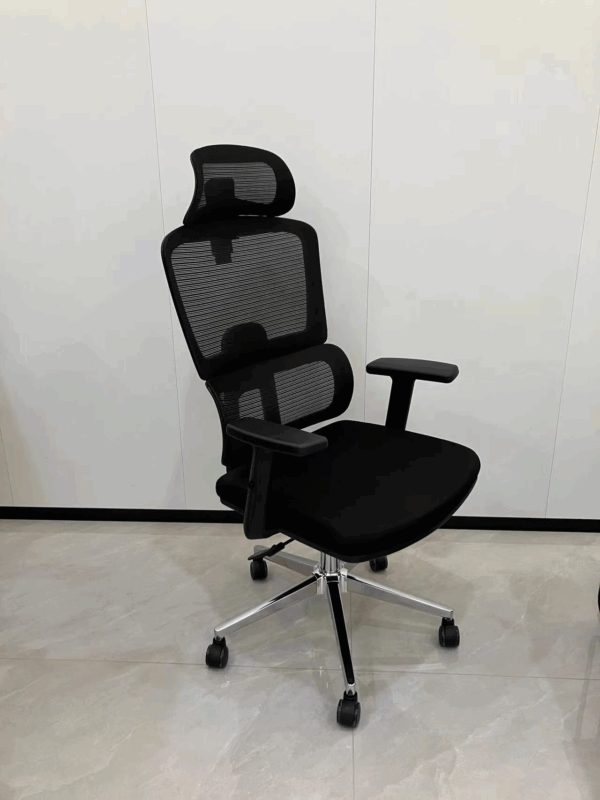 High Back Orthopedic Mesh Chair, Orthopedic Mesh Office Chair, Ergonomic High Back Mesh Chair, Lumbar Support Mesh Office Chair, High Back Support Office Chair, Orthopedic High Back Desk Chair, Breathable Mesh Orthopedic Chair, Spine Support Mesh Chair, Office Chair for Back Pain Relief, Mesh Executive Orthopedic Chair, Adjustable Orthopedic Mesh Chair, Orthopedic Chair with Lumbar Support, Mesh Chair for Long Hours, Orthopedic Ergonomic Office Chair, High Back Mesh Chair for Back Pain, Doctor Recommended Mesh Chair, Mesh Chair with Adjustable Lumbar, High Back Posture Support Chair, Orthopedic Swivel Mesh Chair, Mesh Chair with Neck Support, High Back Mesh Task Chair, Orthopedic Mesh Chair with Headrest, High Back Chair for Spine Alignment, Office Chair with Orthopedic Mesh Back, Orthopedic Mesh Seat Chair, Mesh Office Chair with Ergonomic Design, Pain Relief Office Mesh Chair, Mesh Back Chair with Posture Support, Mesh Chair for Lower Back Pain, Orthopedic Chair for Office Desk, Ergonomic High Back Office Mesh Chair, High Back Mesh Chair with Armrests, Mesh Chair for Work From Home, Orthopedic Chair for Sitting Long Hours, Orthopedic Office Chair Adjustable, High Back Mesh Chair for Ergonomic Comfort, Mesh Chair for Spine Health, Mesh Chair with Adjustable Armrests, Orthopedic Mesh Executive Chair, Back Support Office Mesh Chair, Mesh Chair for Orthopedic Comfort, Ergonomic Mesh Chair for Posture Correction, Mesh Office Chair for Professionals, High Back Mesh Chair with Seat Cushion, Orthopedic Rolling Mesh Chair, Mesh Office Chair with Headrest, Ergonomic Mesh Desk Chair with Lumbar, Spine Care Mesh Office Chair, Orthopedic Mesh Chair for Study, Mesh Chair for Computer Work, Adjustable Orthopedic Task Chair, Mesh Chair with Ergonomic Headrest, High Back Mesh Chair for Home Office, Mesh Backrest Orthopedic Office Chair, Comfortable Orthopedic Mesh Chair, Premium Orthopedic Mesh Office Chair, Mesh Chair with Medical Back Support, Orthopedic Mesh Chair for Students, Breathable High Back Office Chair, Mesh Chair with Tilt and Lock, Lumbar Mesh Office Chair, Orthopedic Mesh Chair with Wheels, Mesh Chair for Healthy Posture, Orthopedic Computer Mesh Chair, High Back Mesh Chair with Padded Seat, Mesh Chair for Office Comfort, Office Chair with Orthopedic Mesh Seat, Mesh Chair for Neck and Back Support, Medical Grade Orthopedic Mesh Chair, Mesh Chair for Executive Office, Orthopedic Ergonomic Mesh Task Chair, Mesh Chair with Back Support Features, Office Mesh Chair with Head and Lumbar Support, Adjustable Mesh Orthopedic Work Chair, Ergonomic Mesh Chair with Adjustable Height, Orthopedic Mesh Chair with Recline Function, Mesh Chair with Spine Alignment Support, High Back Orthopedic Office Chair with Mesh, Ergonomic High Back Mesh Chair for Office, Mesh Chair for Pain-Free Sitting, Orthopedic Mesh Desk Chair with Wheels, Mesh Chair with Adjustable Seat Depth, Mesh Chair for Upper and Lower Back Pain, High Back Mesh Chair for All-Day Use, Mesh Chair for Back Health, Orthopedic Mesh Chair with Synchro Tilt, Mesh Office Chair with Breathable Design, Posture Friendly Mesh Office Chair, Mesh Chair with Cushioned Orthopedic Seat, High Back Work Chair with Orthopedic Support, Ergonomic Mesh Chair for Daily Use, Mesh Office Chair for Spinal Health, High Back Mesh Chair for Wellness Seating, Mesh Chair with Orthopedic Structure, Office Chair for Back and Neck Relief, Mesh Chair Designed for Orthopedic Support, Long Hour Sitting Mesh Orthopedic Chair, Advanced Ergonomic Mesh Chair, Mesh Chair for Medical Office Use