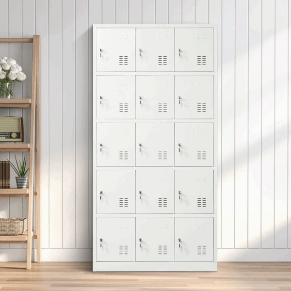 15-door steel locker cabinet, steel locker cabinet, metal locker cabinet, 15 door locker, office locker cabinet, employee locker cabinet, personal locker cabinet, secure locker unit, industrial locker cabinet, commercial locker cabinet, school locker cabinet, gym locker cabinet, warehouse locker cabinet, durable steel locker, multi-door locker cabinet, steel locker with 15 compartments, 15 compartment locker, staff locker cabinet, locker for employees, metal locker with multiple doors, heavy-duty steel locker, robust metal locker, steel storage locker, metal storage locker, secure steel locker, powder-coated locker cabinet, vandal-resistant locker, anti-theft locker cabinet, secure personal storage, steel cabinet with locks, locker with individual doors, personal storage lockers, workplace storage lockers, multipurpose locker cabinet, utility locker cabinet, employee storage cabinet, office steel lockers, school steel lockers, gym storage lockers, 15 door metal locker cabinet, industrial storage locker, commercial steel locker, metal locker with secure doors, compact locker cabinet, wall locker cabinet, floor-standing locker cabinet, vertical steel locker, horizontal locker cabinet, steel locker with nameplates, label-ready locker cabinet, numbered locker cabinet, steel locker with ventilation, locker with louvered doors, locker cabinet with vents, breathable locker cabinet, hygiene locker cabinet, cleanroom locker cabinet, locker cabinet for uniforms, locker for PPE storage, safety gear locker cabinet, steel locker for factory, metal locker for warehouse, staff room locker cabinet, locker for changing room, dressing room locker cabinet, fitness locker cabinet, health club locker cabinet, school hallway locker cabinet, dormitory locker cabinet, college locker cabinet, university locker cabinet, daycare locker cabinet, sports locker cabinet, coaching center locker cabinet, locker for recreational centers, training center lockers, multi-user locker cabinet, high capacity locker cabinet, locker cabinet for 15 users, 15-person locker cabinet, locker for small offices, compact office locker cabinet, locker for coworking spaces, locker for startups, staff locker unit, employee cubby locker, modular locker cabinet, customizable locker cabinet, color coded locker cabinet, lockable metal locker, steel locker with key lock, steel locker with padlock hasp, digital lock steel locker, steel locker with combination lock, RFID locker cabinet, biometric locker cabinet, smart locker cabinet, IoT-connected locker, high-tech locker cabinet, modern locker unit, sleek steel locker cabinet, minimal locker design, stylish locker cabinet, matte finish locker cabinet, glossy steel locker, colored steel lockers, blue steel locker cabinet, gray steel locker cabinet, white metal locker, black steel locker cabinet, office locker with central lock, centralized locking locker, locker with master key access, school locker with padlock option, staff locker with keys, break room locker cabinet, canteen locker cabinet, lunch break locker, locker for staff belongings, locker for handbags, mobile locker cabinet, locker cabinet on wheels, caster locker cabinet, fixed leg locker cabinet, adjustable leg locker cabinet, locker with rubber feet, noise-reducing locker cabinet, soft close locker doors, silent locker hinges, locker with shock absorbers, workplace locker solution, ergonomic locker cabinet, space-saving locker cabinet, locker cabinet for confined spaces, narrow steel locker cabinet, wide steel locker cabinet, tall locker cabinet, short locker cabinet, medium-height locker cabinet, corner locker cabinet, side-by-side locker unit, triple column locker cabinet, five-tier locker cabinet, locker cabinet with shelves, locker with hanging rod, locker with mirror, locker with coat hook, internal locker accessories, locker with storage bins, locker with shoe rack, locker with built-in charging port, locker with USB charging, locker with power outlet, locker with internal light, LED-lit locker cabinet, locker with ventilation fans, smart locker with sensors, locker with occupancy indicators, locker with WiFi connectivity, digital signage locker cabinet, tech-enabled locker cabinet, locker cabinet for digital offices, locker for smart workplaces, green office locker cabinet, sustainable steel locker, eco-friendly locker cabinet, locker made from recycled steel, BIFMA certified locker, ISO certified locker cabinet, fire-resistant locker cabinet, water-resistant locker cabinet, corrosion-resistant locker, rustproof steel locker, weatherproof locker cabinet, locker for outdoor use, locker for high-humidity areas, locker for harsh environments, chemical-resistant locker, anti-microbial locker cabinet, locker with hygiene features, locker for hospitals, locker for healthcare facilities, locker for clinics, locker for laboratories, medical storage locker, sterile locker cabinet, cleanroom locker, locker for pharmaceuticals, locker for food industries, HACCP compliant locker, industrial-grade steel locker, heavy-duty metal locker cabinet, commercial use locker, long-lasting locker cabinet, locker with warranty, tested steel locker, high-strength locker cabinet, impact-resistant locker, tamper-proof locker, locker with reinforced doors, double-wall steel locker, thick gauge steel locker, locker cabinet with support frame, bolt-down locker cabinet, locker with anchoring system, locker with built-in leveling feet, locker for uneven floors, anti-tip locker cabinet, wall-mountable locker cabinet, free-standing locker cabinet, locker cabinet for equipment, locker cabinet for uniforms and tools, secure storage for workers, lockers for field workers, construction site locker, site office locker cabinet, workshop locker cabinet, tool room locker cabinet, manufacturing locker cabinet, production line locker, fabrication shop locker, auto shop locker cabinet, automotive workshop locker, locker cabinet for machinery areas, maintenance locker cabinet, janitor locker cabinet, cleaning supplies locker, steel cabinet for cleaning crew, locker for oil rigs, locker for mining sites, high-security locker cabinet, government facility locker, military-grade locker cabinet, police locker cabinet, prison locker cabinet, correctional facility locker, law enforcement locker, forensic lab locker cabinet, education locker cabinet, academic facility locker, teacher’s locker cabinet, student locker cabinet, locker for staff lounges, library locker cabinet, locker cabinet for labs, science room locker, engineering department locker, office admin locker, HR locker cabinet, locker for ID storage, locker for access cards, locker for confidential files, locker for document bags, locker for company assets, locker cabinet for IT equipment, locker for mobile phones, electronics locker cabinet, device charging locker cabinet, locker for tablets and laptops, locker with cable routing, office locker for gadgets, tech storage locker cabinet, employee locker for devices, locker for team equipment, locker for internal departments, department-based locker cabinet, enterprise storage locker, shared locker cabinet, locker for open-plan offices, collaborative locker storage, team locker cabinet, multipurpose storage locker, locker cabinet with partitioned sections, locker cabinet for clean and dirty storage, dual-compartment locker, locker with top and bottom storage, split-door locker cabinet, locker for seasonal clothing, locker cabinet for footwear, uniform and boot locker, locker for tools and garments, locker with integrated bench, locker cabinet with seating, steel locker with bench seat, locker with coat shelf, locker for back-of-house storage, retail locker cabinet, customer locker cabinet, gym member locker cabinet, hotel staff locker, hospitality locker cabinet, locker cabinet for theme parks, amusement park locker, theater locker cabinet, backstage locker cabinet, locker for entertainers, locker for sports teams, team locker cabinet, locker for athletes, professional sports locker cabinet, fitness center locker, locker for locker rooms, locker for spas and saunas, locker for wellness centers, yoga studio locker cabinet, martial arts studio locker, boxing gym locker, locker for dance studios, musical school locker, locker for performing arts, wardrobe locker cabinet, backstage costume locker, theater prop locker, storage cabinet for entertainers, field team locker, transport office locker, airline staff locker, airport security locker, aviation locker cabinet, airline locker for crew, rail staff locker, bus depot locker cabinet, driver locker cabinet, logistics company locker, delivery locker cabinet, e-commerce warehouse locker, locker cabinet for couriers, package locker cabinet, internal mail locker cabinet, locker for delivery staff, high-frequency use locker, locker cabinet with frequent access, locker for time-sensitive access, express locker cabinet, steel cabinet for public spaces, locker for government offices, bank locker cabinet, finance office locker, legal office locker cabinet, law firm locker cabinet, accounting firm locker, audit room locker, vault room locker, secure document storage locker, compliance locker cabinet, sensitive data locker cabinet, locker for confidential storage, and multipurpose steel locker cabinet.