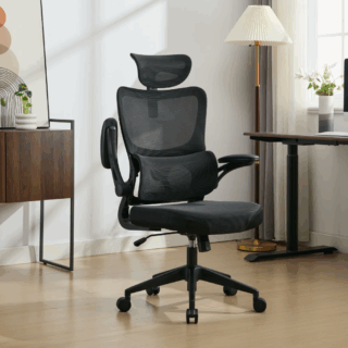 high back ergonomic mesh chair, ergonomic office chair, mesh office chair, high back office chair, breathable mesh chair, adjustable ergonomic chair, swivel mesh chair, lumbar support chair, mesh task chair, office chair with armrests, executive mesh chair, mesh chair with headrest, ergonomic computer chair, mesh desk chair, office chair with adjustable height, comfortable mesh chair, breathable office chair, ergonomic chair for back pain, office chair with lumbar support, mesh swivel chair, high back desk chair, mesh chair with wheels, office seating chair, ergonomic chair for home office, breathable back chair, mesh chair with tilt function, adjustable armrest chair, office chair for long hours, mesh chair for gaming, ergonomic chair with headrest, mesh chair with padded seat, office chair with mesh back, ergonomic chair with adjustable lumbar, swivel chair with mesh back, modern ergonomic chair, mesh task chair with wheels, office chair for posture, ergonomic chair for office workers, mesh chair with breathable backrest, high back mesh task chair, adjustable mesh office chair, office chair with ergonomic features, mesh chair with tilt lock, breathable mesh ergonomic chair, office chair with adjustable tilt, mesh office chair with headrest, high back mesh swivel chair, ergonomic chair with padded armrests, mesh chair for computer work, breathable office chair for summer, office chair with mesh seat, ergonomic office chair with wheels, mesh chair with adjustable height, high back mesh chair with lumbar support, office chair with adjustable backrest, mesh swivel task chair, breathable chair for office, ergonomic mesh chair with headrest, office chair for back support, mesh chair for desk work, high back ergonomic desk chair, mesh chair with flexible back, office chair with adjustable armrests, ergonomic mesh chair for gaming, breathable chair with lumbar support, mesh chair with adjustable tilt, office chair with lumbar cushion, mesh chair with smooth casters, ergonomic chair with mesh fabric, high back mesh chair for long hours, office chair with breathable fabric, ergonomic mesh desk chair, mesh chair with padded armrests, breathable mesh task chair, office chair with seat height adjustment, mesh chair with strong frame, ergonomic chair for posture correction, mesh chair with curved back, office chair with mesh ergonomic design, breathable office chair with adjustable headrest, mesh chair with firm lumbar support, high back office mesh chair with wheels, ergonomic mesh chair for conference room, breathable mesh chair with adjustable armrests, office chair with mesh breathable seat, mesh chair with tilting mechanism, high back mesh chair for executive office, ergonomic mesh chair with lumbar adjustment, mesh office chair with mesh seat, breathable mesh chair for warm climates, office chair with adjustable seat depth, mesh chair with ergonomic seat cushion, high back mesh chair with adjustable tilt, office chair with breathable back and seat, ergonomic mesh chair with seat tilt, mesh chair with lumbar and head support, office chair with breathable and ergonomic design, high back mesh office chair with adjustable armrests, ergonomic mesh chair with mesh seat and back, breathable office chair with headrest and lumbar support, mesh office chair with tilt and swivel, ergonomic mesh chair with adjustable seat height and armrests, high back mesh chair with ergonomic lumbar support and breathable fabric, office chair with mesh breathable backrest and adjustable features, mesh ergonomic chair with headrest lumbar support and swivel base, breathable mesh office chair with ergonomic design adjustable height tilt and armrests, high back ergonomic mesh chair with lumbar support adjustable armrests tilt and swivel, office mesh chair breathable ergonomic adjustable with headrest lumbar and armrests, mesh office chair ergonomic breathable high back adjustable with wheels tilt and lumbar support, breathable ergonomic mesh chair office swivel adjustable height tilt armrests and lumbar, ergonomic high back mesh office chair breathable with adjustable armrests lumbar tilt and swivel, mesh office chair ergonomic breathable high back with adjustable lumbar armrests tilt and wheels, breathable ergonomic office mesh chair high back adjustable lumbar armrests tilt swivel with headrest, mesh ergonomic office chair breathable high back with adjustable lumbar armrest tilt swivel and wheels, office chair mesh breathable ergonomic high back adjustable lumbar armrests tilt and swivel with headrest, breathable mesh ergonomic office chair high back adjustable lumbar armrests tilt swivel with headrest and wheels, high back ergonomic mesh chair breathable office chair with adjustable lumbar armrests tilt swivel and headrest, breathable mesh ergonomic office chair high back with adjustable lumbar armrests tilt swivel wheels and headrest, office ergonomic mesh chair high back breathable adjustable lumbar armrests tilt swivel wheels and headrest, breathable ergonomic mesh office chair high back with adjustable lumbar armrests tilt swivel wheels headrest and tilt lock, mesh ergonomic office chair breathable high back adjustable lumbar armrests tilt swivel wheels headrest and seat tilt, breathable ergonomic mesh office chair high back with adjustable lumbar armrests tilt swivel wheels headrest and armrest adjustment, office chair mesh breathable ergonomic high back adjustable lumbar armrests tilt swivel wheels headrest and seat height adjustment, breathable ergonomic mesh office chair high back adjustable lumbar armrests tilt swivel wheels headrest and tilt tension, mesh ergonomic office chair breathable high back adjustable lumbar armrests tilt swivel wheels headrest and adjustable seat depth, breathable ergonomic mesh office chair high back adjustable lumbar armrests tilt swivel wheels headrest and adjustable seat angle, office chair mesh breathable ergonomic high back adjustable lumbar armrests tilt swivel wheels headrest and lumbar height adjustment, breathable ergonomic mesh office chair high back adjustable lumbar armrests tilt swivel wheels headrest and adjustable armrest height, mesh ergonomic office chair breathable high back adjustable lumbar armrests tilt swivel wheels headrest and adjustable armrest width, breathable ergonomic mesh office chair high back adjustable lumbar armrests tilt swivel wheels headrest and adjustable armrest depth, office chair mesh breathable ergonomic high back adjustable lumbar armrests tilt swivel wheels headrest and adjustable armrest angle, breathable ergonomic mesh office chair high back adjustable lumbar armrests tilt swivel wheels headrest and adjustable seat tilt lock, mesh ergonomic office chair breathable high back adjustable lumbar armrests tilt swivel wheels headrest and adjustable recline angle, breathable ergonomic mesh office chair high back adjustable lumbar armrests tilt swivel wheels headrest and adjustable tilt tension knob, office chair mesh breathable ergonomic high back adjustable lumbar armrests tilt swivel wheels headrest and adjustable tilt angle limiter, breathable ergonomic mesh office chair high back adjustable lumbar armrests tilt swivel wheels headrest and adjustable ergonomic features, mesh ergonomic office chair breathable high back adjustable lumbar armrests tilt swivel wheels headrest and adjustable ergonomic design, breathable ergonomic mesh office chair high back adjustable lumbar armrests tilt swivel wheels headrest and premium comfort, office chair mesh breathable ergonomic high back adjustable lumbar armrests tilt swivel wheels headrest and ergonomic support, breathable ergonomic mesh office chair high back adjustable lumbar armrests tilt swivel wheels headrest and durable build, mesh ergonomic office chair breathable high back adjustable lumbar armrests tilt swivel wheels headrest and strong frame, breathable ergonomic mesh office chair high back adjustable lumbar armrests tilt swivel wheels headrest and sturdy base, office chair mesh breathable ergonomic high back adjustable lumbar armrests tilt swivel wheels headrest and comfortable padding, breathable ergonomic mesh office chair high back adjustable lumbar armrests tilt swivel wheels headrest and easy assembly, mesh ergonomic office chair breathable high back adjustable lumbar armrests tilt swivel wheels headrest and modern design, breathable ergonomic mesh office chair high back adjustable lumbar armrests tilt swivel wheels headrest and sleek look, office chair mesh breathable ergonomic high back adjustable lumbar armrests tilt swivel wheels headrest and contemporary style, breathable ergonomic mesh office chair high back adjustable lumbar armrests tilt swivel wheels headrest and elegant finish, mesh ergonomic office chair breathable high back adjustable lumbar armrests tilt swivel wheels headrest and quality materials, breathable ergonomic mesh office chair high back adjustable lumbar armrests tilt swivel wheels headrest and warranty, office chair mesh breathable ergonomic high back adjustable lumbar armrests tilt swivel wheels headrest and customer favorite, breathable ergonomic mesh office chair high back adjustable lumbar armrests tilt swivel wheels headrest and top seller, mesh ergonomic office chair breathable high back adjustable lumbar armrests tilt swivel wheels headrest and best rated, breathable ergonomic mesh office chair high back adjustable lumbar armrests tilt swivel wheels headrest and office essential, office chair mesh breathable ergonomic high back adjustable lumbar armrests tilt swivel wheels headrest and productivity booster, breathable ergonomic mesh office chair high back adjustable lumbar armrests tilt swivel wheels headrest and comfort enhancer, mesh ergonomic office chair breathable high back adjustable lumbar armrests tilt swivel wheels headrest and posture corrector, breathable ergonomic mesh office chair high back adjustable lumbar armrests tilt swivel wheels headrest and health supporter, office chair mesh breathable ergonomic high back adjustable lumbar armrests tilt swivel wheels headrest and back pain relief, breathable ergonomic mesh office chair high back adjustable lumbar armrests tilt swivel wheels headrest and ergonomic seating, mesh ergonomic office chair breathable high back adjustable lumbar armrests tilt swivel wheels headrest and office comfort, breathable ergonomic mesh office chair high back adjustable lumbar armrests tilt swivel wheels headrest and home office, office chair mesh breathable ergonomic high back adjustable lumbar armrests tilt swivel wheels headrest and executive chair, breathable ergonomic mesh office chair high back adjustable lumbar armrests tilt swivel wheels headrest and professional seating, mesh ergonomic office chair breathable high back adjustable lumbar armrests tilt swivel wheels headrest and business chair, breathable ergonomic mesh office chair high back adjustable lumbar armrests tilt swivel wheels headrest and workspace chair, office chair mesh breathable ergonomic high back adjustable lumbar armrests tilt swivel wheels headrest and office chair with wheels, breathable ergonomic mesh office chair high back adjustable lumbar armrests tilt swivel wheels headrest and swivel office chair, mesh ergonomic office chair breathable high back adjustable lumbar armrests tilt swivel wheels headrest and adjustable office chair, breathable ergonomic mesh office chair high back adjustable lumbar armrests tilt swivel wheels headrest and modern office chair, office chair mesh breathable ergonomic high back adjustable lumbar armrests tilt swivel wheels headrest and mesh office chair, breathable ergonomic mesh office chair high back adjustable lumbar armrests tilt swivel wheels headrest and ergonomic mesh office chair, mesh ergonomic office chair breathable high back adjustable lumbar armrests tilt swivel wheels headrest and high back ergonomic mesh chair.