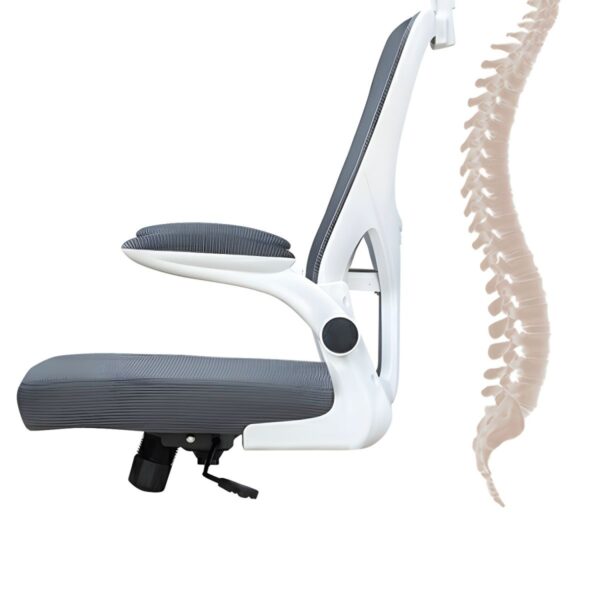office ergonomic staff seat, ergonomic staff office chair, ergonomic office chair for staff, staff ergonomic seat, office chair ergonomic design, ergonomic workstation chair, office staff chair with lumbar support, staff seating ergonomic chair, ergonomic mesh staff chair, office seat with ergonomic support, comfortable ergonomic office chair, ergonomic chair for long hours, ergonomic staff desk chair, office chair for staff comfort, supportive ergonomic staff seat, breathable ergonomic staff chair, lumbar support chair for staff, ergonomic swivel staff chair, office chair for healthy posture, posture-friendly office chair, ergonomic office chair with wheels, adjustable ergonomic staff seat, office chair with armrests ergonomic, back-friendly office staff seat, ergonomic executive staff chair, ergonomic seating for office work, ergonomic rolling office chair, comfortable staff task chair, ergonomic high-back office chair, ergonomic chair for desk staff, mesh ergonomic seat for staff, premium ergonomic staff chair, ergonomic office furniture, office seat with ergonomic curves, orthopedic ergonomic office chair, ergonomic padded staff chair, ergonomic workstation seat, ergonomic task chair for staff, modern ergonomic office chair, ergonomic clerical office chair, office desk ergonomic staff seat, ergonomic seat with tilt function, multi-adjustable ergonomic chair, ergonomic chair for office employees, dynamic ergonomic seat for office, height adjustable ergonomic chair, ergonomic chair with neck support, ergonomic staff chair with wheels, padded ergonomic seat for staff, ergonomic seating solution for office, ergonomic posture support chair, ergonomic reclining office chair, ergonomic swivel chair for staff, ergonomic computer chair for office, durable ergonomic office seat, budget ergonomic chair for staff, ergonomic backrest chair, healthy ergonomic office chair, staff chair with ergonomic mesh, ergonomic office seat for daily use, ergonomic desk chair for professionals, ergonomic chair for long sitting hours, compact ergonomic staff seat, high performance ergonomic chair, ergonomic task chair with arms, ergonomic chair with seat cushion, fully adjustable ergonomic seat, staff computer chair ergonomic design, ergonomic chair for small office, professional ergonomic staff chair, ergonomic office chair for productivity, breathable mesh ergonomic chair, lumbar ergonomic office chair, staff seating ergonomic office solution, staff chair for desk ergonomic style, ergonomic chair with headrest, spine support office chair ergonomic, ergonomic work chair with lumbar, orthopedic staff chair ergonomic, ergonomic staff seating for cubicles, all-day comfort ergonomic office chair, posture-correct ergonomic chair, ergonomic office chair with multiple adjustments, ergonomic staff seating with mobility, office desk seat ergonomic features, ergonomic chair with back tilt, ergonomic office seat for staff wellness, ergonomic staff seating for startups, ergonomic support staff chair, comfortable and adjustable ergonomic chair, back support ergonomic desk chair, high back ergonomic staff chair, ergonomic seating for open office, advanced ergonomic seat for professionals, compact ergonomic desk chair, ergonomic chair with smooth rolling casters, ergonomic chair for admin staff, ergonomic staff seat with breathable mesh, ergonomic staff chair with padding, posture aligning ergonomic chair, ergonomic office chair with high resilience foam, ergonomic chair with multifunctional adjustment, ergonomic task chair for agile work, ergonomic chair with arm and head support, ergonomic chair for shared workstations, fully ergonomic office seating, ergonomic support chair for employees, long lasting ergonomic staff chair, value ergonomic office chair, staff seat for ergonomic comfort, office seat with ergonomic ergonomics, ergonomic desk seat for daily work, ergonomic adjustable chair for staff, supportive seating ergonomic design, ergonomic chair with footrest for staff, versatile ergonomic seat, simple ergonomic staff chair, clean design ergonomic office chair, ergonomic seat for long work shifts, ergonomic chair for frequent use, mesh and fabric ergonomic staff chair, breathable ergonomic back chair, professional office staff seat ergonomic, ergonomic chair with air circulation, memory foam ergonomic chair for staff, quiet rolling ergonomic seat, ergonomic support for lower back, ergonomic chair with adjustable lumbar, comfortable ergonomic staff seating solution, ergonomic office chair with seat depth adjustment, contemporary ergonomic chair design, functional ergonomic office chair, budget-friendly ergonomic office seating, ergonomic chair for high-efficiency workspaces, office furniture ergonomic chair, workplace ergonomic seating solutions, task-based ergonomic staff chair, ergonomic chair with flip-up arms, minimalist ergonomic chair, ergonomically designed office chair, ergonomic chair with breathable backrest, smart ergonomic seat for staff, ergonomic chair for IT staff, ergonomic chair for creative professionals, adjustable ergonomic seating option, ergonomic chair for multitasking roles, ergonomic chair for hybrid offices, ergonomic seat with smooth tilt, ergonomic mobility chair for office, ergonomic chair for intensive desk work, lightweight ergonomic office chair, performance-driven ergonomic seat, posture-improving ergonomic staff chair, ergonomic seating for long meetings, task force ergonomic office chair, staff seat with ergonomic alignment, ergonomic employee seating, office ergonomic furniture solution, ergonomic support seat for professionals, ergonomic seat for desk work, productivity booster ergonomic chair, executive ergonomic office seat, adjustable ergonomic workstation seat, ergonomic chair for comfort and health, seated posture ergonomic chair, back-friendly office seat for staff, ergonomic chair with user-adjustable features, ergonomic desk chair for corporate staff, customizable ergonomic office seat, ergonomic chair for co-working space, high-efficiency ergonomic staff chair, modular ergonomic office chair, ergonomic chair for open-concept offices, long-use ergonomic chair for staff, ergonomic manager seat, dynamic support ergonomic chair, professional ergonomic seating option, functional seating ergonomic design, mesh ergonomic office staff chair with wheels.