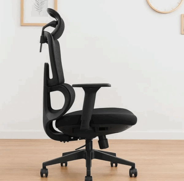 executive orthopedic mesh chair, orthopedic mesh office chair, ergonomic mesh chair executive, orthopedic executive chair mesh, breathable mesh office chair, mesh chair with lumbar support, executive mesh desk chair, orthopedic mesh swivel chair, mesh office chair for back pain, executive ergonomic mesh chair, orthopedic mesh task chair, mesh chair with adjustable lumbar, executive mesh chair with headrest, orthopedic mesh computer chair, breathable executive office chair, orthopedic mesh chair with armrests, mesh office chair for posture, orthopedic mesh chair adjustable, executive mesh office seating, mesh chair for long hours, orthopedic mesh chair with cushion, executive mesh chair with wheels, mesh chair with lumbar cushion, orthopedic mesh chair with tilt, mesh chair for spine support, orthopedic mesh chair high back, breathable mesh executive chair, ergonomic mesh office chair executive, mesh office chair with adjustable back, orthopedic mesh chair for comfort, mesh chair with padded seat, orthopedic mesh task chair executive, orthopedic mesh office chair breathable, executive mesh chair with adjustable height, mesh chair with lumbar support cushion, orthopedic mesh swivel office chair, breathable mesh chair for office, orthopedic mesh chair with head and neck support, mesh executive chair for back support, orthopedic mesh chair with footrest, mesh chair for posture correction, orthopedic mesh chair ergonomic design, breathable mesh office chair for executives, orthopedic mesh chair with adjustable arms, executive mesh chair with lumbar support, orthopedic mesh chair with padded armrests, mesh chair for office ergonomics, orthopedic mesh office chair with breathable fabric, executive mesh chair with mesh back, orthopedic mesh chair with tilt and swivel, mesh chair with lumbar adjustment, orthopedic mesh chair for office use, executive mesh chair with adjustable seat height, orthopedic mesh chair for professional use, mesh chair with mesh seat and back, orthopedic mesh chair with headrest and lumbar support, breathable mesh chair for long sitting, orthopedic mesh chair with adjustable tilt, executive mesh chair with ergonomic design, orthopedic mesh chair for desk work, mesh chair with padded lumbar support, orthopedic mesh chair with adjustable lumbar, mesh chair with mesh fabric upholstery, orthopedic mesh office chair with armrests, executive mesh chair with height adjustment, orthopedic mesh chair for back pain relief, breathable mesh chair for executives, orthopedic mesh chair with reclining function, mesh chair with adjustable armrests and lumbar support, orthopedic mesh chair with headrest and adjustable arms, executive mesh chair with breathable fabric, orthopedic mesh chair for comfortable sitting, mesh chair with adjustable lumbar and tilt, orthopedic mesh chair with ergonomic features, breathable mesh office chair with lumbar support, orthopedic mesh chair with high backrest, executive mesh chair with padded seat and back, orthopedic mesh chair with adjustable seat depth, mesh chair with lumbar support and headrest, orthopedic mesh chair for office professionals, breathable mesh chair with adjustable features, orthopedic mesh chair with mesh back and seat, executive mesh chair with ergonomic lumbar support, orthopedic mesh chair with swivel and tilt functions, mesh chair with breathable mesh fabric, orthopedic mesh chair with adjustable seat height and tilt, executive mesh chair with lumbar cushion, orthopedic mesh chair with comfortable padding, mesh chair with mesh backrest and adjustable lumbar, orthopedic mesh chair for long working hours, breathable mesh chair with headrest and lumbar support, orthopedic mesh chair with adjustable armrests and seat height, executive mesh chair with lumbar support and adjustable tilt