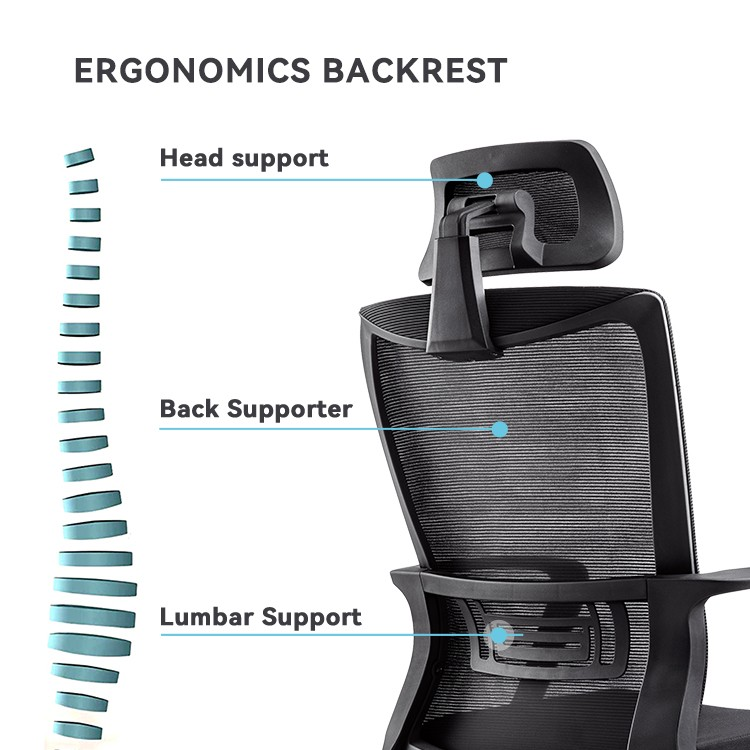 office chair, ergonomic office chair, executive office chair, office chair kenya, office chairs for sale, affordable office chair, best office chair, cheap office chair, high back office chair, low back office chair, mesh office chair, leather office chair, swivel office chair, adjustable office chair, modern office chair, comfortable office chair, office chair with armrest, office chair without armrest, office chair with lumbar support, office chair for back pain, computer office chair, desk chair, task chair, conference chair, visitor chair office, office waiting chair, office seating solutions, office chair suppliers kenya, office chair price kenya, office chair online kenya, buy office chair kenya, durable office chair, heavy duty office chair, office chair with wheels, rolling office chair, office chair with headrest, office chair ergonomic design, office chair breathable mesh, office chair padded seat, office chair adjustable height, office chair tilt mechanism, office chair strong base, office chair modern design, office chair premium quality, office chair budget friendly, office chair for home office, office chair for gaming, office chair for study, office chair for students, office chair for work from home, office chair for long hours, office chair for comfort, office chair for productivity, office chair for posture support, office chair for spine alignment, office chair contemporary design, office chair minimal design, office chair sleek finish, office chair durable material, office chair metal frame, office chair strong wheels, office chair easy mobility, office chair smooth rolling, office chair stylish look, office chair professional look, office chair office furniture, office chair modern furniture, office chair workspace furniture, office chair home furniture, office chair business furniture, office chair executive furniture, office chair conference room, office chair boardroom,office chair in Nairobi, office chair in Mombasa, office chair in Kisumu, office chair in Nakuru, office chair in Eldoret, office chair in Thika, office chair in Malindi, office chair in Kitale, office chair in Garissa, office chair in Kakamega, office chair in Nyeri, office chair in Machakos, office chair in Kericho, office chair in Naivasha, office chair in Meru, office chair in Embu, office chair in Bungoma, office chair in Narok, office chair in Voi, office chair in Kilifi, office chair in Lamu, office chair in Isiolo, office chair in Nanyuki, office chair in Kitui, office chair in Makueni, office chair in Busia, office chair in Siaya, office chair in Homa Bay, office chair in Migori, office chair in Kisii, office chair in Nyamira, office chair in Bomet, office chair in Kapsabet, office chair in Kapenguria, office chair in Wajir, office chair in Mandera, office chair in Marsabit, office chair in Moyale, office chair in Taveta, office chair in Kajiado, office chair in Kiambu, office chair in Ruiru, office chair in Limuru, office chair in Karatina, office chair in Othaya, office chair in Chuka, office chair in Runyenjes, office chair in Maralal, office chair in Lodwar, office chair in Webuye, office chair in Mumias, office chair in Butere, office chair in Luanda, office chair in Bondo, office chair in Ugunja, office chair in Ukwala, office chair in Oyugis, office chair in Mbita, office chair in Awendo, office chair in Kehancha, office chair in Keroka, office chair in Suneka, office chair in Litein, office chair in Sotik, office chair in Longisa, office chair in Kilgoris, office chair in Suswa, office chair in Gilgil, office chair in Molo, office chair in Subukia, office chair in Ol Kalou, office chair in Nyahururu, office chair in Rumuruti, office chair in Kinangop, office chair in Kangundo, office chair in Tala, office chair in Athi River, office chair in Syokimau, office chair in Kitengela, office chair in Ngong, office chair in Ongata Rongai, office chair in Karen, office chair in Westlands, office chair in Eastleigh, office chair in Kasarani